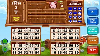 Video Bingo Little Farm Schermafbeelding 2