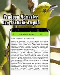 Suara Burung Sirtu Pikat MP3 Offline Скриншот 3