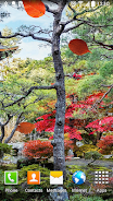 Zen Garden Live Wallpaper 스크린샷 0