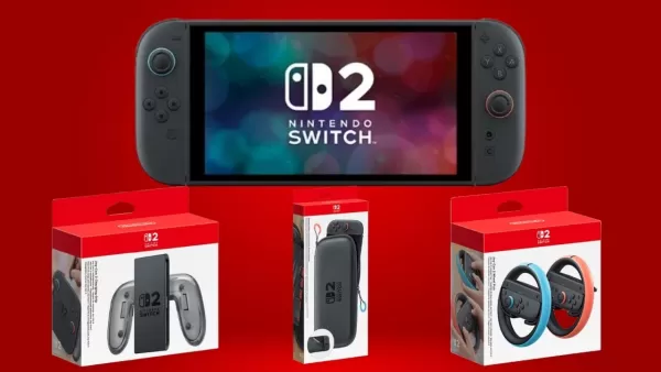 Nintendo Switch 2 Aksesori