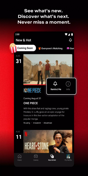 Netflix apk