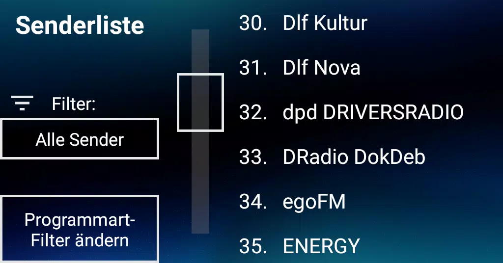 DAB+ Radio USB 스크린샷 3