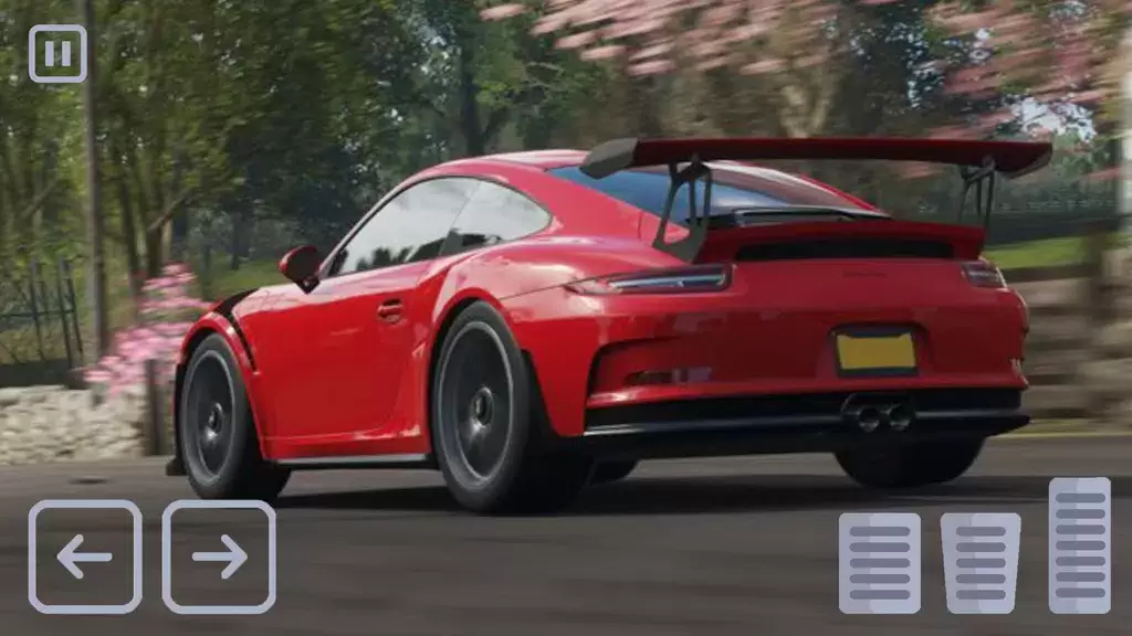 Racing Porsche Carrera 911 GT3 Screenshot 3