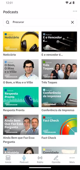 Observador Captura de pantalla 2