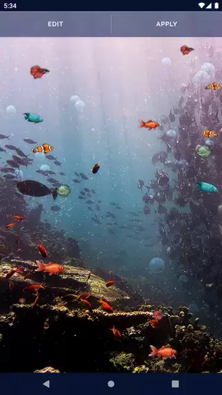 Ocean Fish Live Wallpaper 4K Tangkapan skrin 3