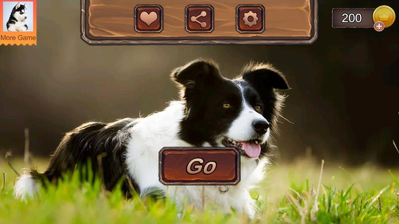 Border Collie Simulator 스크린샷 2