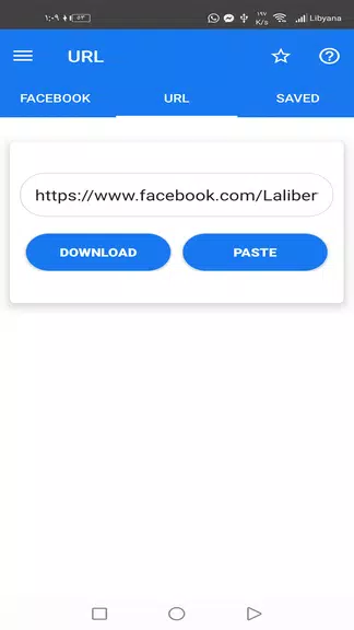Facvid: Reels video downloader Ảnh chụp màn hình 2