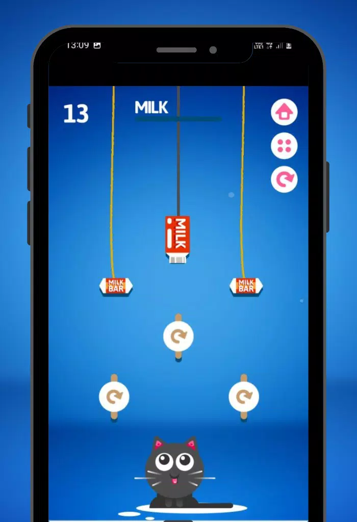 Feed the Kitty Cat Game应用截图第2张