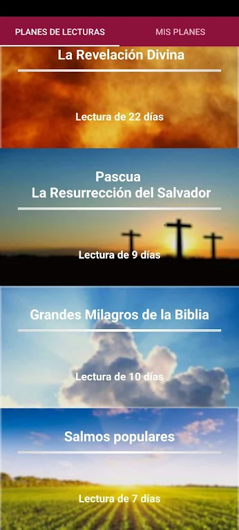 Biblia para la Mujer Captura de pantalla 2