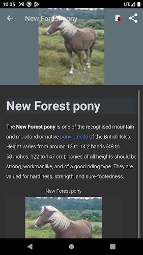 Horse breeds - Photos Screenshot 3