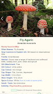 Shroomify - USA Mushroom ID স্ক্রিনশট 0