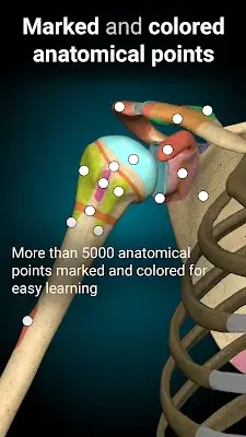 Anatomy Learning - 3D Anatomy स्क्रीनशॉट 2