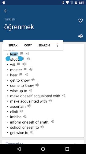 Turkish English Dictionary İng スクリーンショット 0