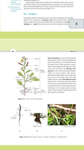 Class 11 Biology NCERT Book Tangkapan skrin 1