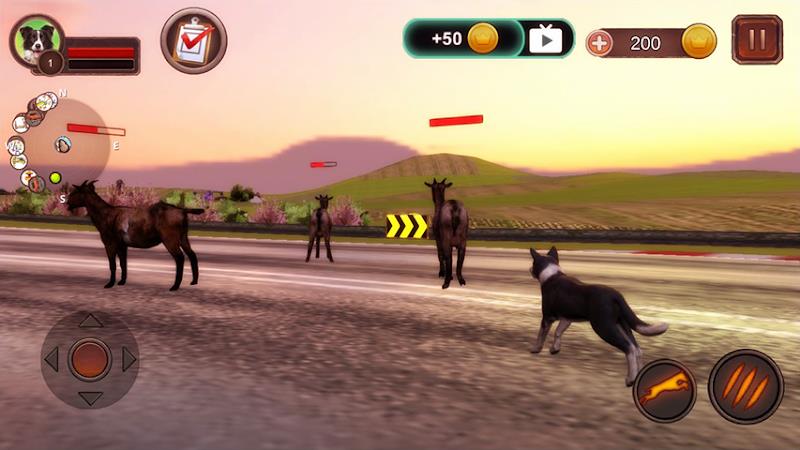 Border Collie Simulator 스크린샷 1