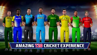 Indian Cricket Championship Скриншот 2