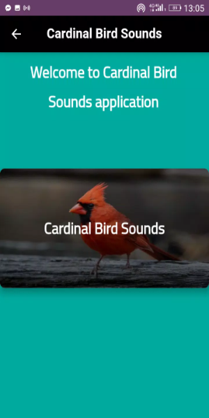 Schermata Cardinal sounds and calls 0