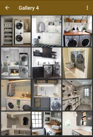 Laundry Room Organization Screenshot 1