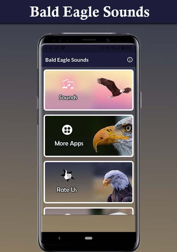 Bald Eagle Sounds Schermafbeelding 2