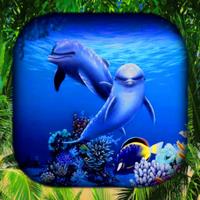 Dolphins Live Wallpaper