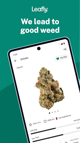 Leafly: Find Cannabis and CBD Ekran Görüntüsü 0