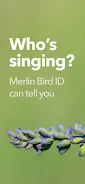 Merlin Bird ID by Cornell Lab स्क्रीनशॉट 3