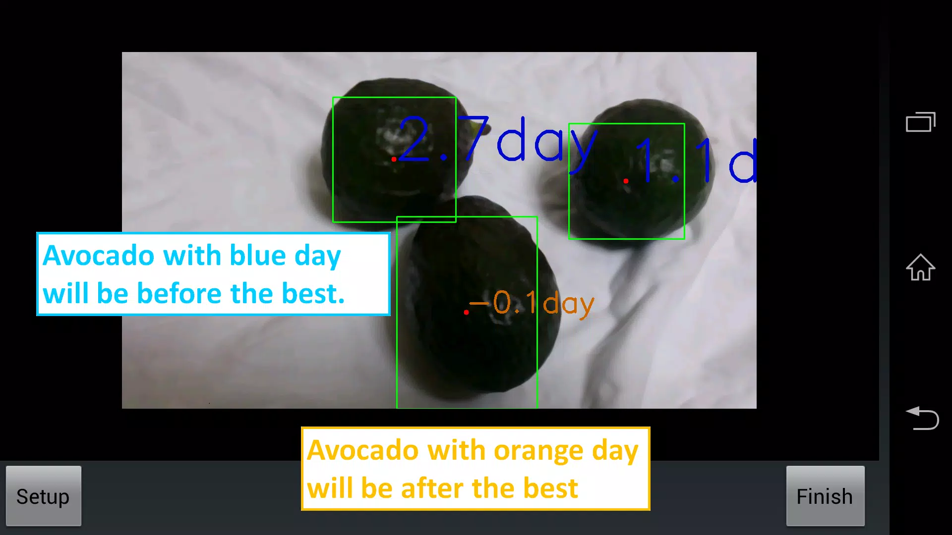 Avocado Checker Captura de pantalla 3