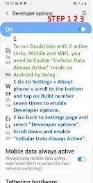 DoubLinks: a Multi-Path VPN Captura de tela 1