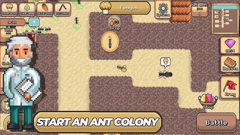 Pocket Ants Screenshot 2