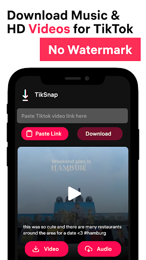 TikSnap: Downloader for TikTok Screenshot 0