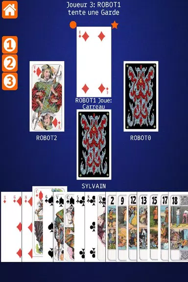 Net.Tarot Screenshot 2