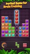 Block Puzzle: Star Gem Capture d'écran 3