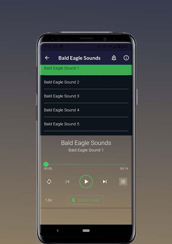 Bald Eagle Sounds Schermafbeelding 0