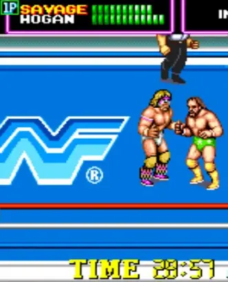 WWF Superstars of Wrestling Cl应用截图第0张