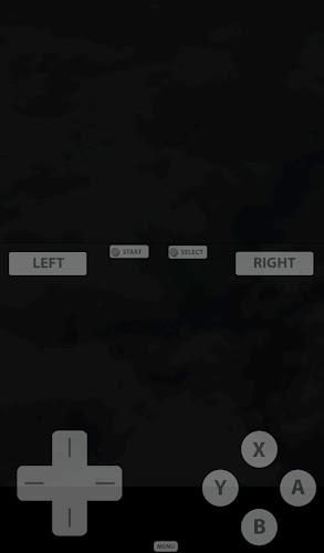 Fast DS Emulator - For Android Schermafbeelding 1