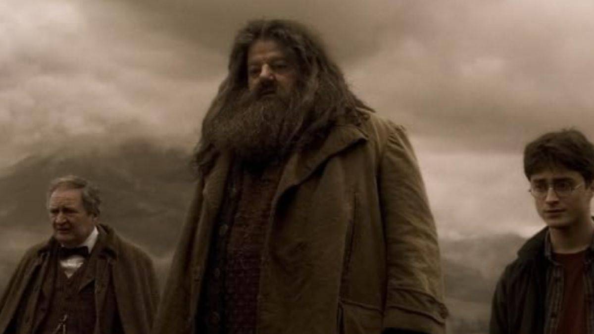 羅比·科爾特蘭（Robbie Coltrane）飾演哈利·波特（Harry Potter）和半血王子